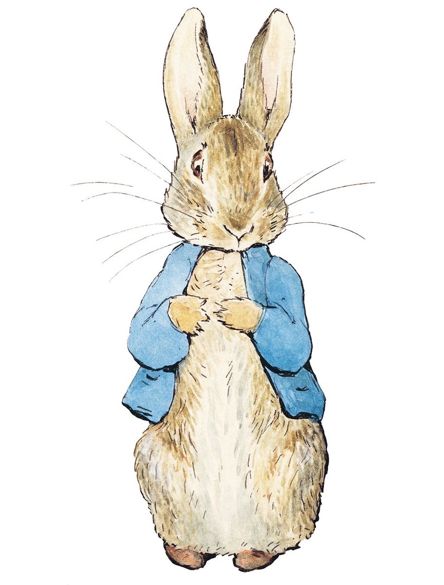rjw-product-illustration-peter-rabbit.jpg
