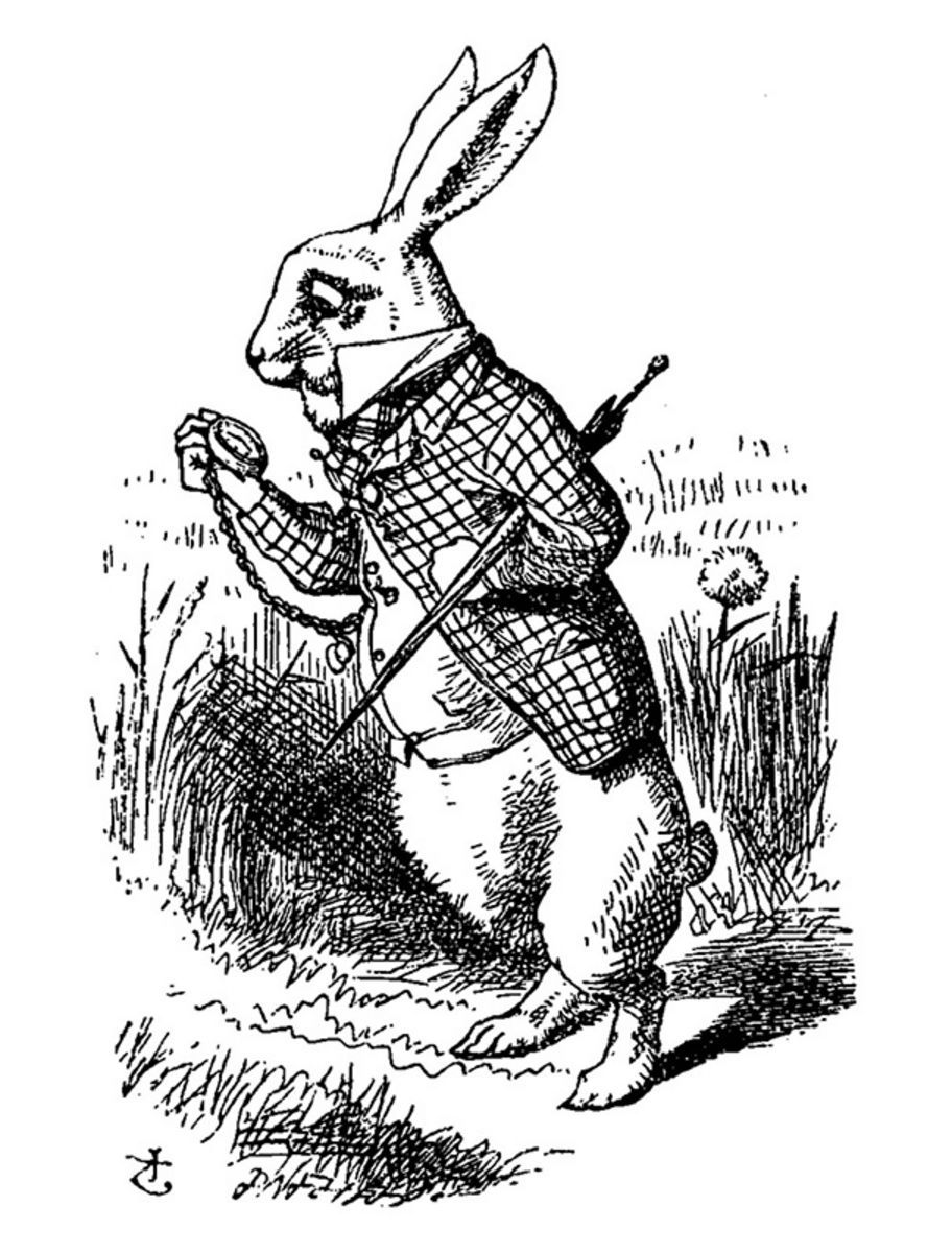 rjw-product-illustration-white-rabbit.jpg