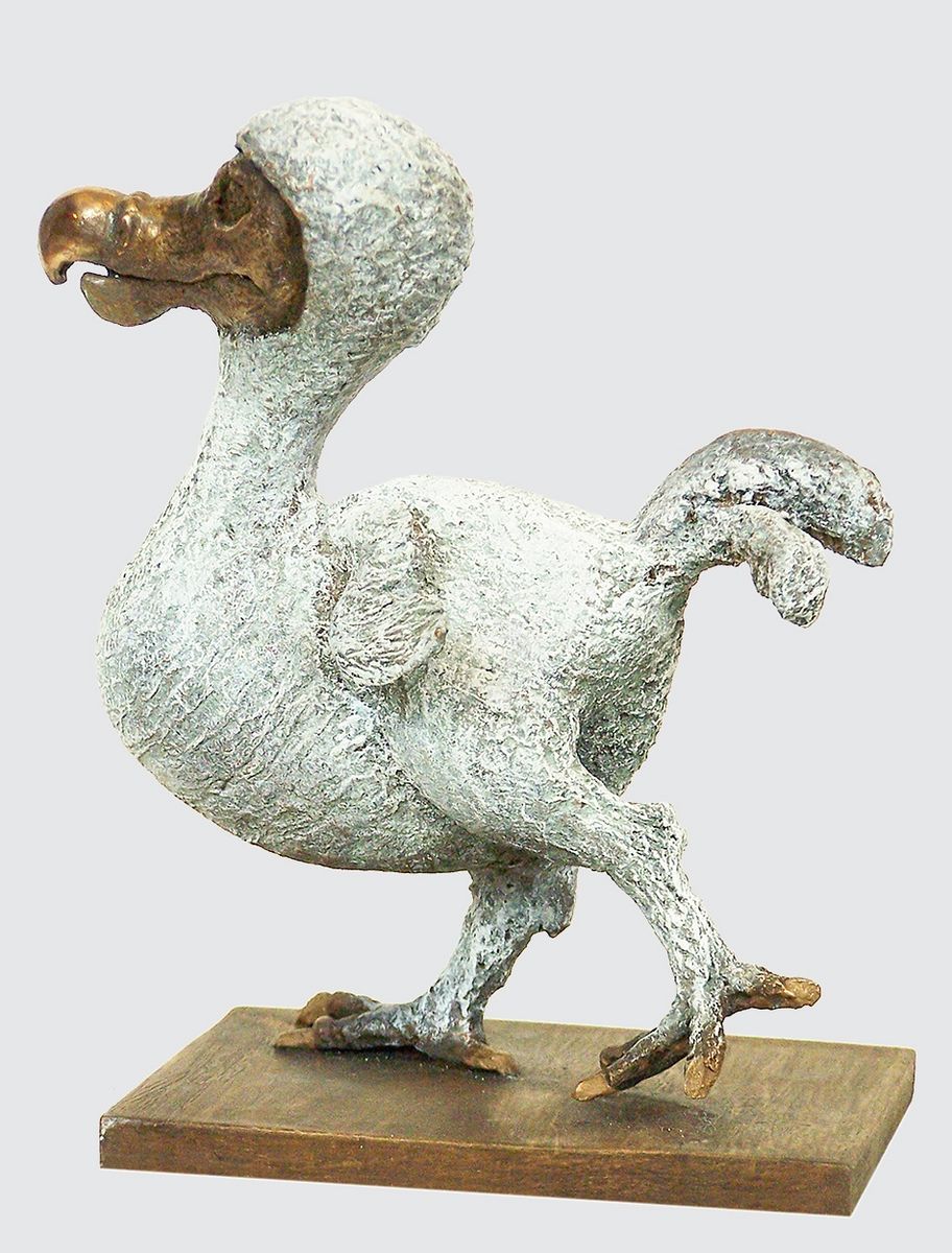 rjw-product-image-dodo-chick-3.jpg