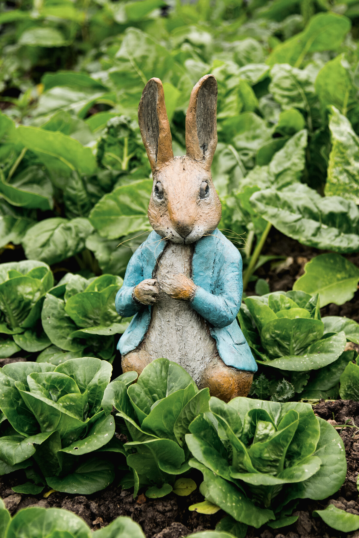 Lapide Per Lapide Da Giardino In Pietra Commemorat... – Grandado - Foto 7
