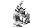 rjw-product-illustration-white-rabbit.jpg