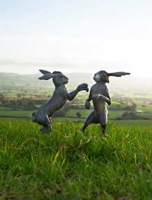 General Woundwort & Bigwig - Bronze Garden Sculpture